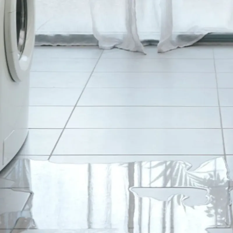 Appliance Leak Cleanup in Stanwood, WA